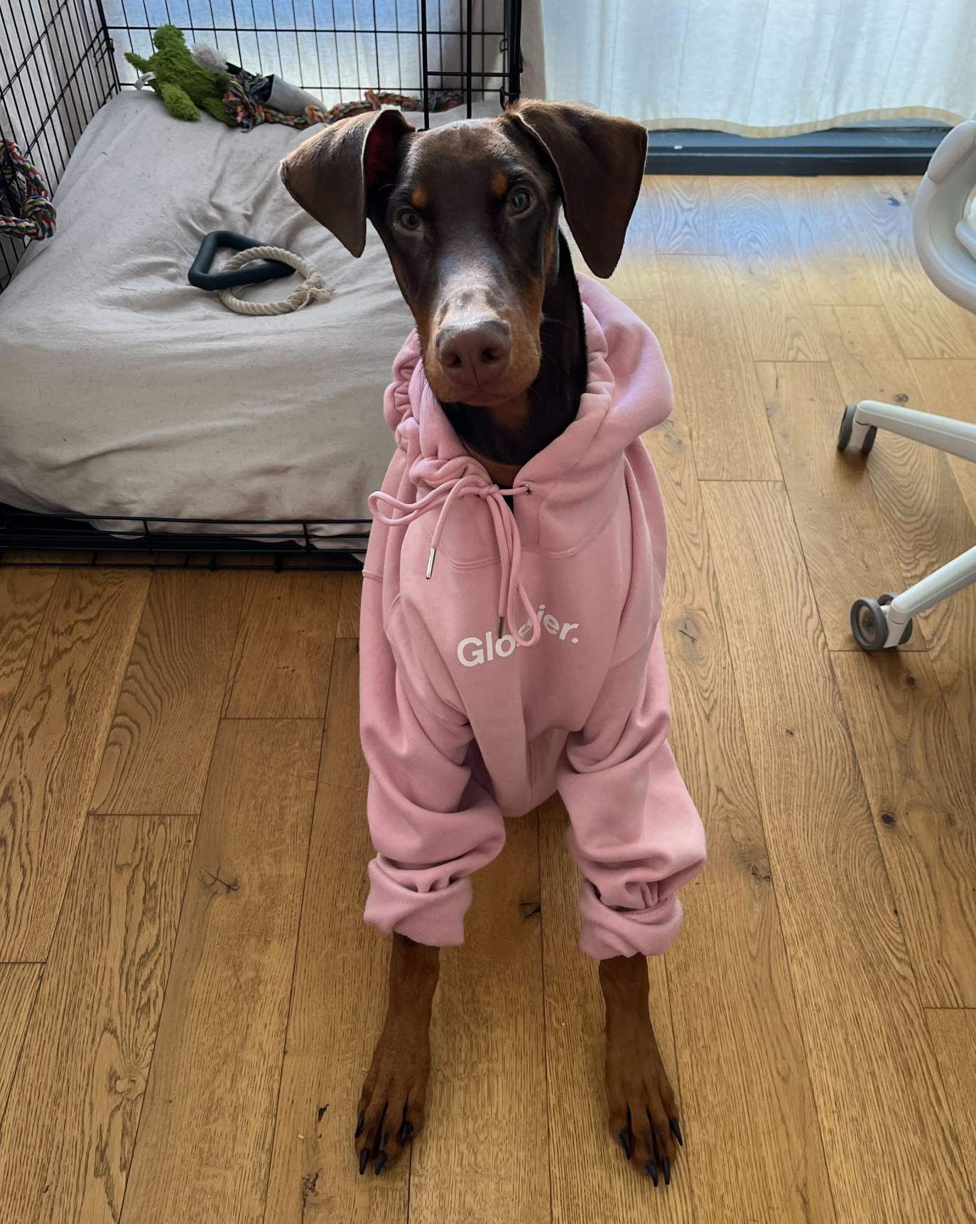 Original Pink Hoodie Glossier